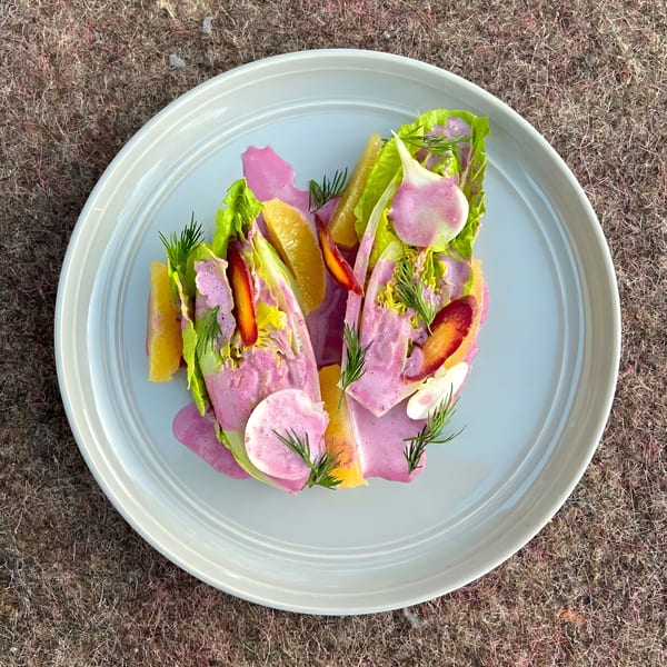 Vibrant salad with endive, orange segments, radishes, and dill, drizzled with pink dressing.