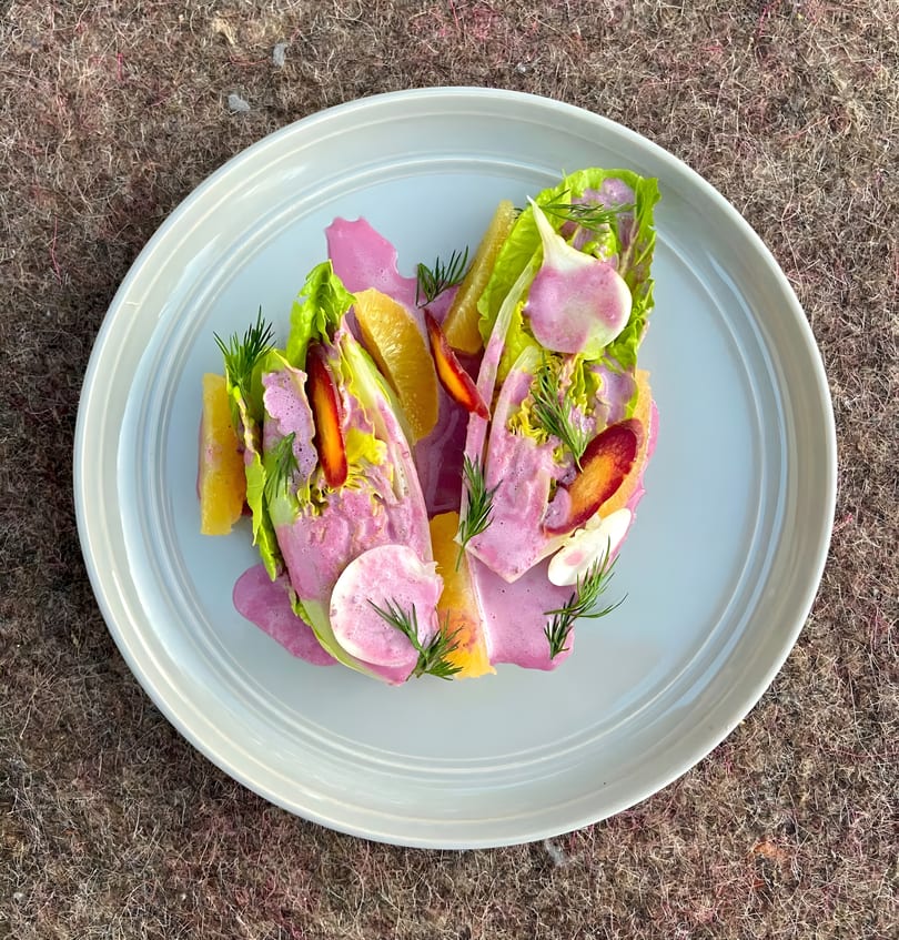 Vibrant salad with endive, orange segments, radishes, and dill, drizzled with pink dressing.